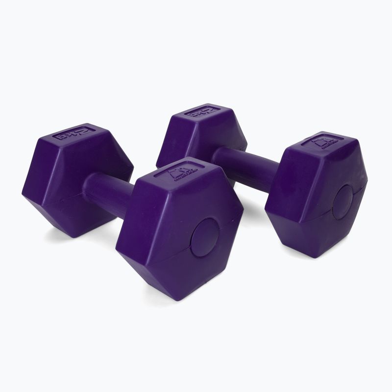 Meteor bitumen dumbbells 2 x 2 kg purple 30166