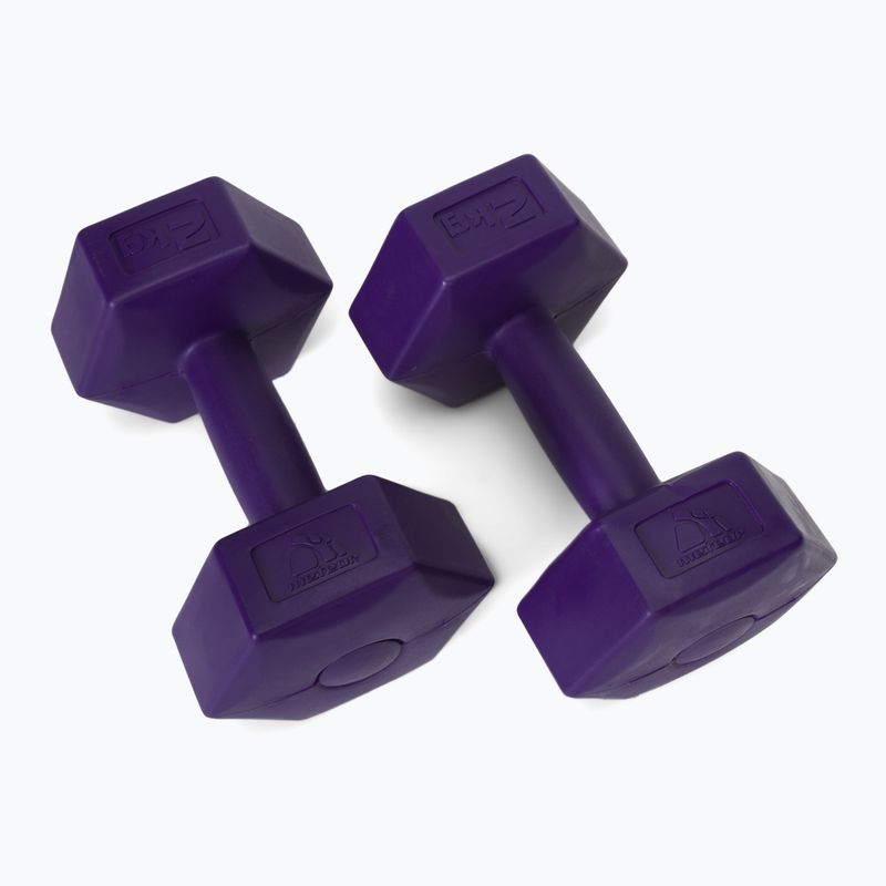 Meteor bitumen dumbbells 2 x 2 kg purple 30166 2