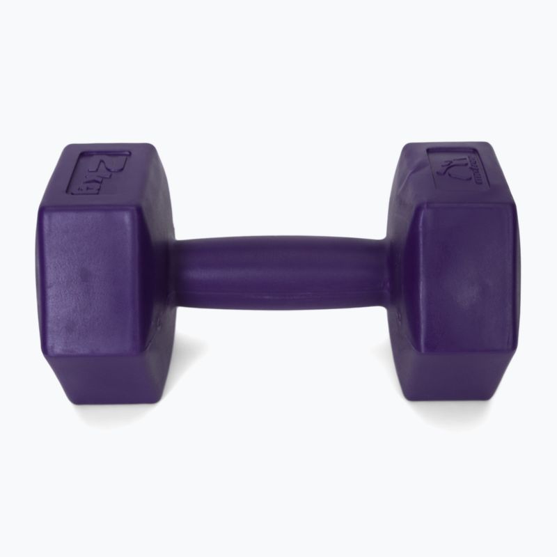 Meteor bitumen dumbbells 2 x 2 kg purple 30166 4