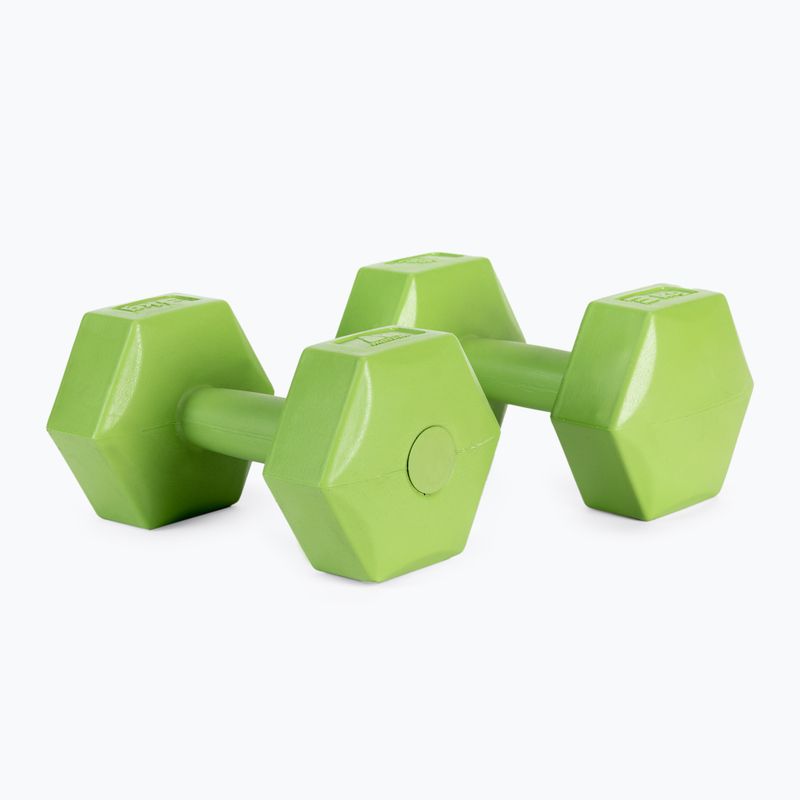 Meteor bitumen dumbbells 2 x 3 kg green 30167