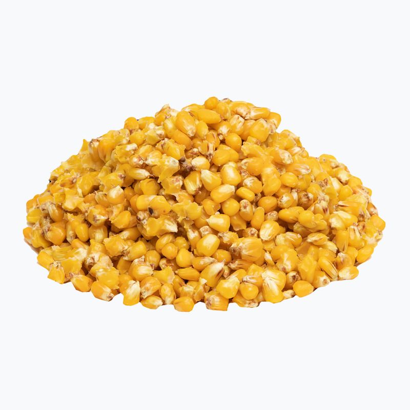 Carp Target Banana fishing corn 0006 2