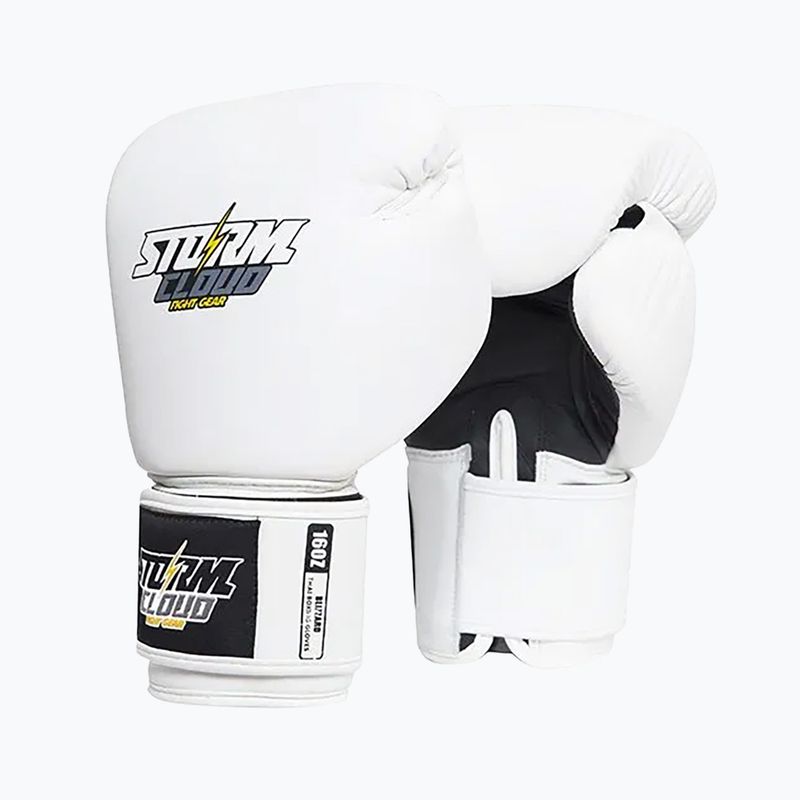 Boxing gloves StormCloud Blizzard white/black