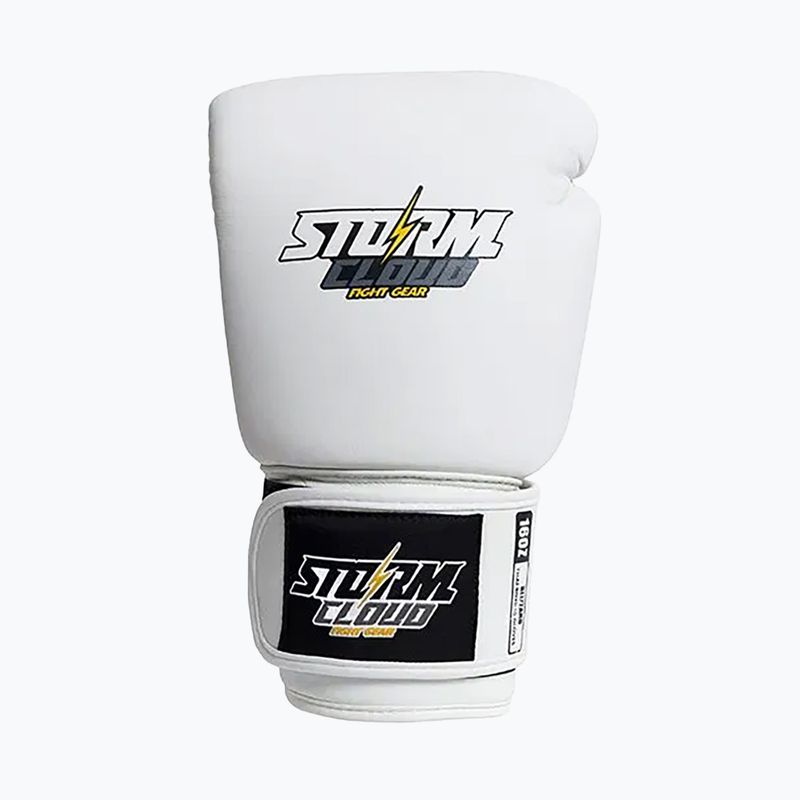 Boxing gloves StormCloud Blizzard white/black 2