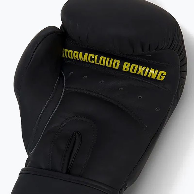 Boxing gloves StormCloud Boxing Pro black 9
