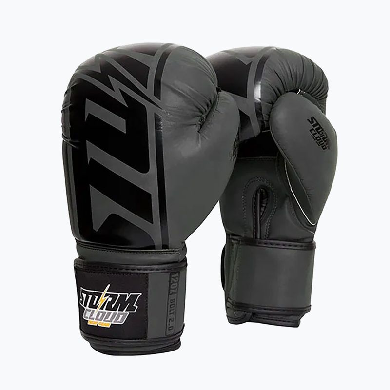 Boxing gloves StormCloud Bolt 2.0 black/black 2