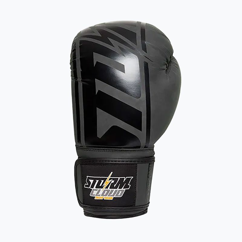 Boxing gloves StormCloud Bolt 2.0 black/black 3