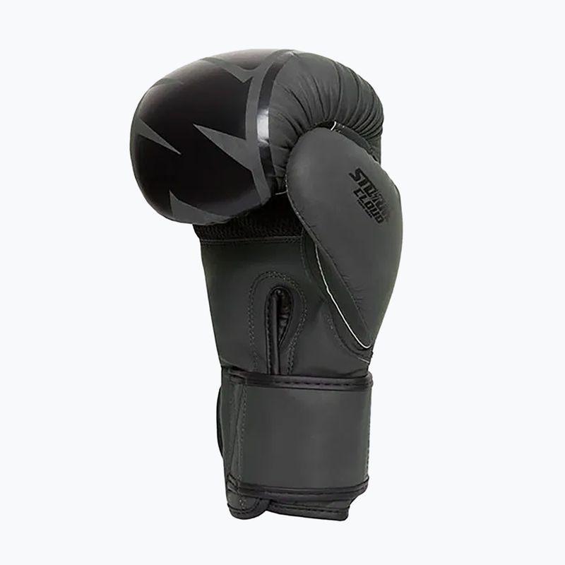 Boxing gloves StormCloud Bolt 2.0 black/black 5