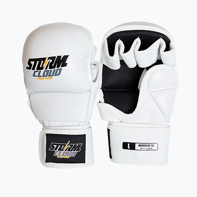 Grappling gloves StormCloud Hurricane white/black