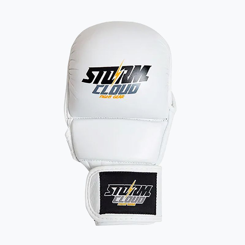 Grappling gloves StormCloud Hurricane white/black 2