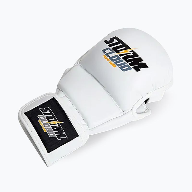 Grappling gloves StormCloud Hurricane white/black 3