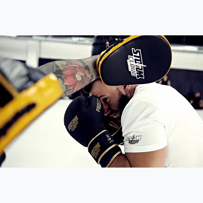 Boxing gloves StormCloud Boxing Pro black/gold 14