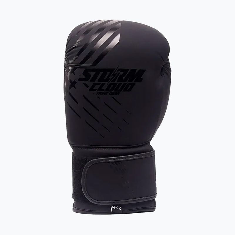 Boxing gloves StormCloud Lynx black/black 2