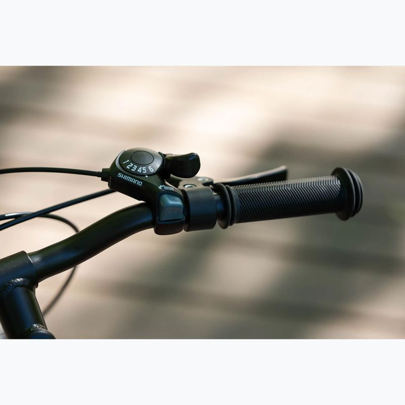 Children's bike KROSS Level Mini 2.0 red/black/shine 14