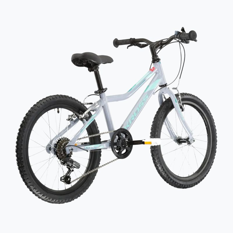 Children's bike KROSS Lea Mini 1.0 grey/celadon/shine 3