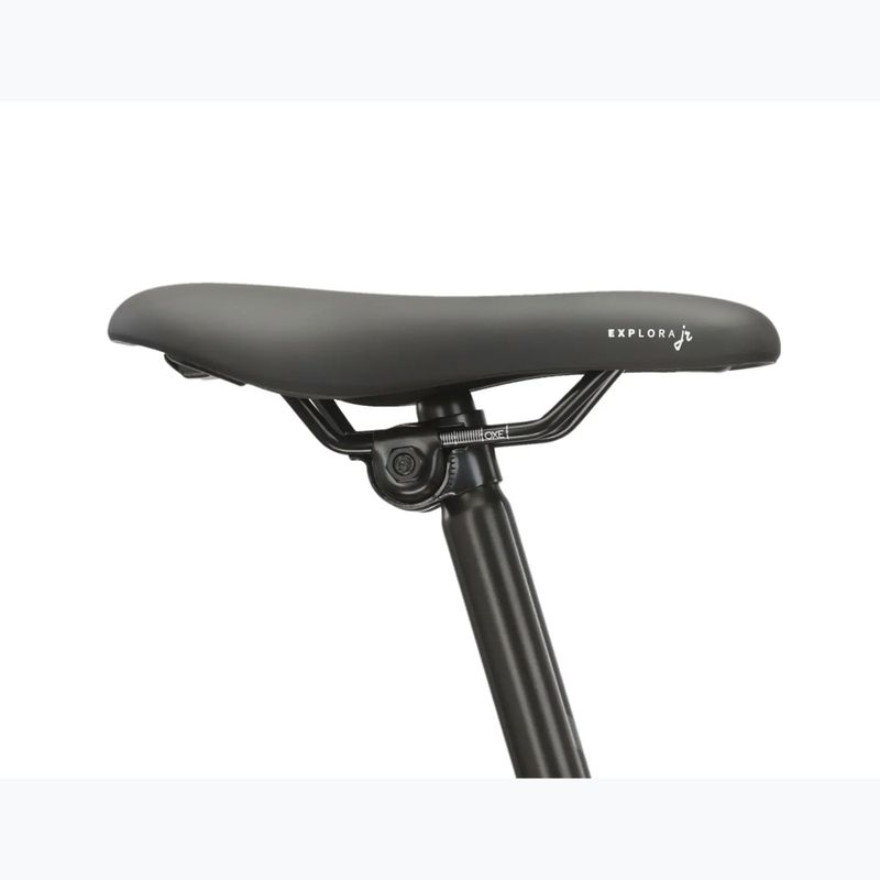 Children's bike KROSS Level Jr 1.0 red/sea blue/shine 11