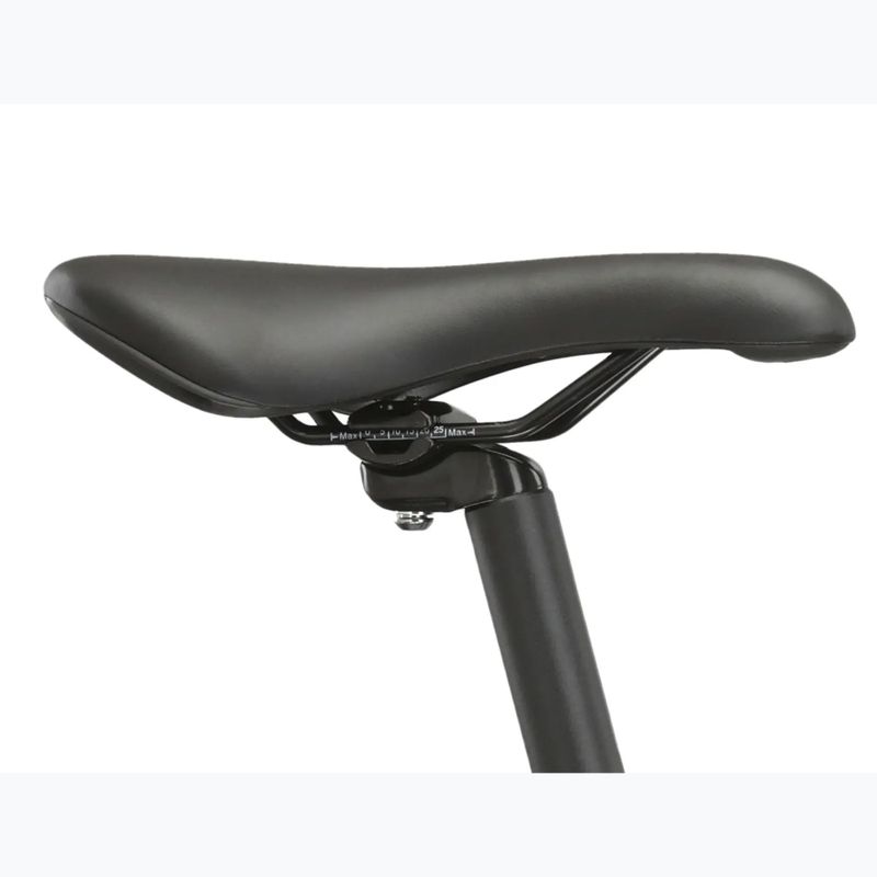 Mountain bike KROSS Hexagon 4.0 29" black/silver/shine 12