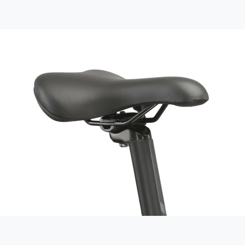 Mountain bike KROSS Hexagon 4.0 EQ 29" silver/green/shine 12