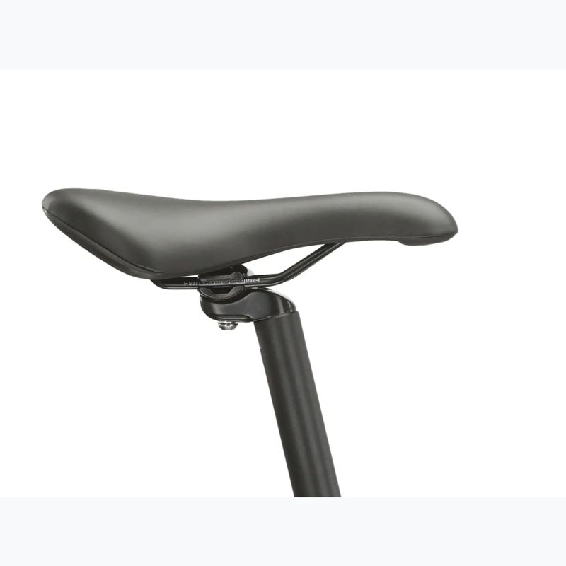 Mountain bike KROSS Hexagon 4.0 EQ 29" silver/green/shine 13