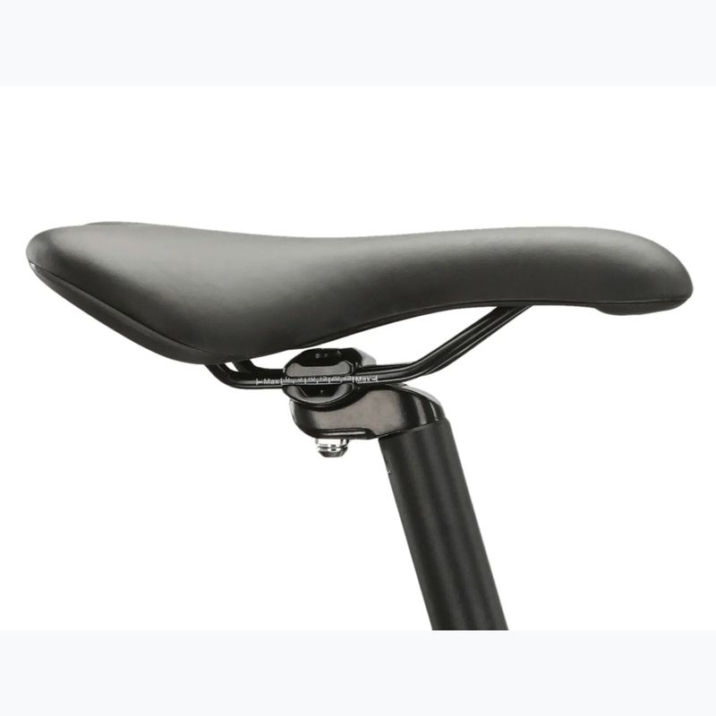 Mountain bike KROSS Hexagon 4.0 EQ 29" green/silver/shine 13