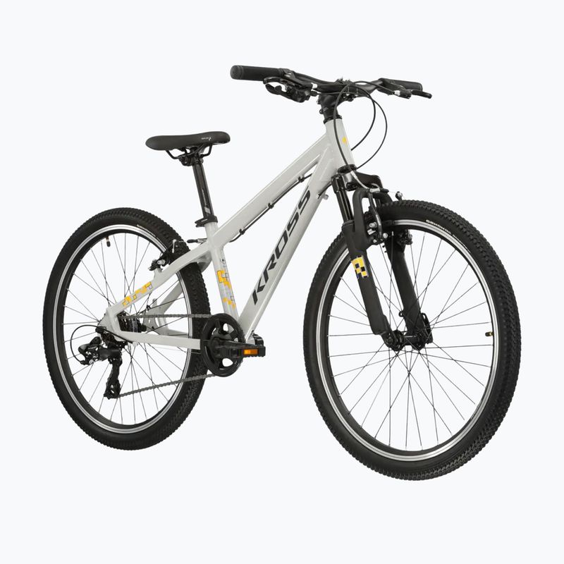 Children's bike KROSS Dust Jr 1.0 grey/black/shine 2