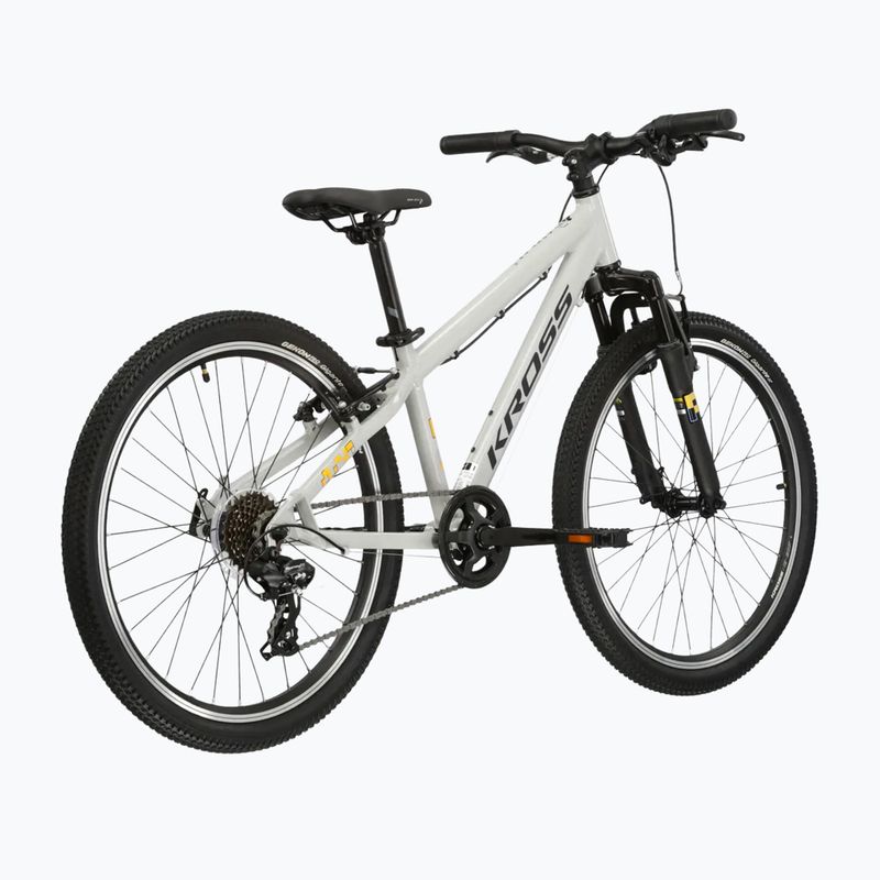 Children's bike KROSS Dust Jr 1.0 grey/black/shine 3