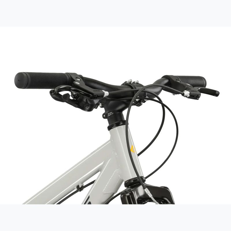 Children's bike KROSS Dust Jr 1.0 grey/black/shine 4