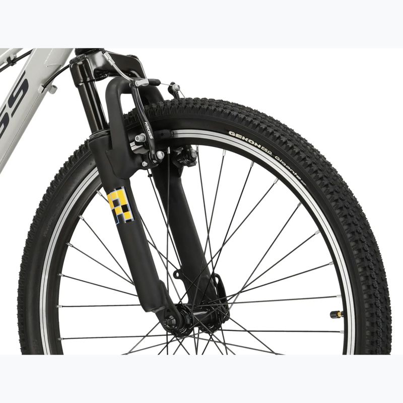 Children's bike KROSS Dust Jr 1.0 grey/black/shine 5