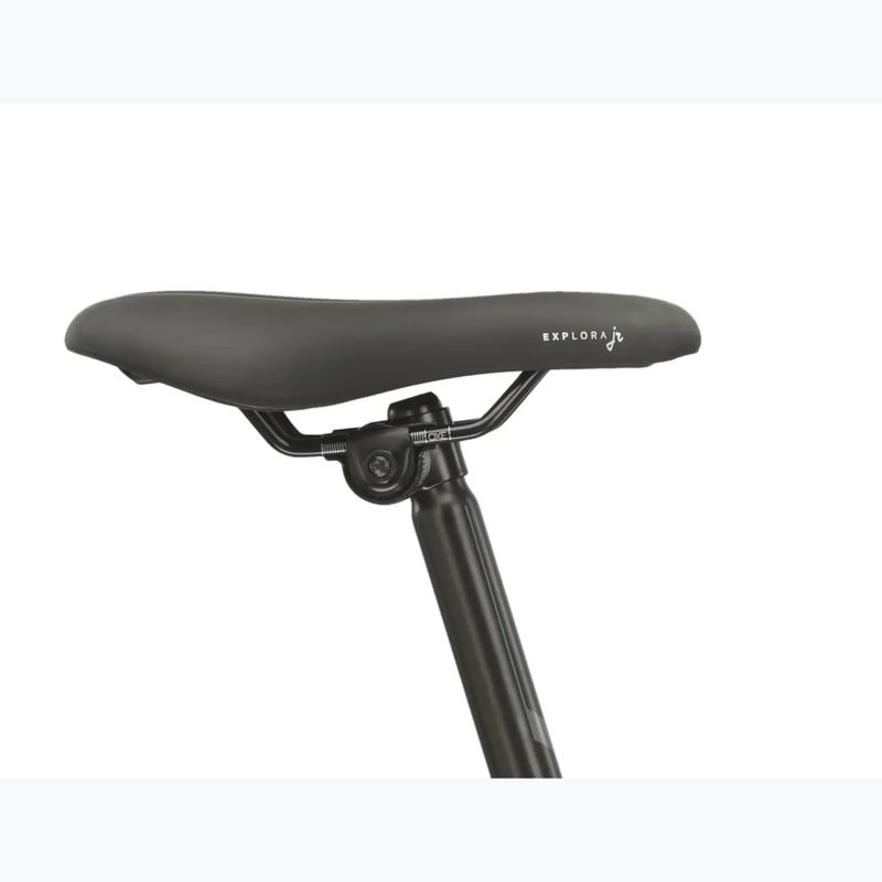 Children's bike KROSS Level Jr 1.0 beige/red/shine 10