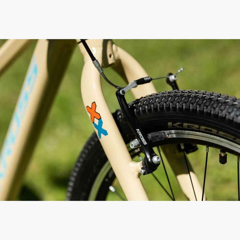 Children's bike KROSS Level Jr 1.0 beige/red/shine 14
