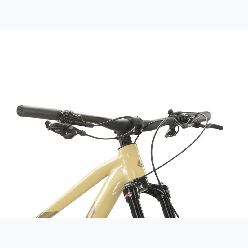 Women's mountain bike KROSS Level 6.0 beige/brown/shine 4
