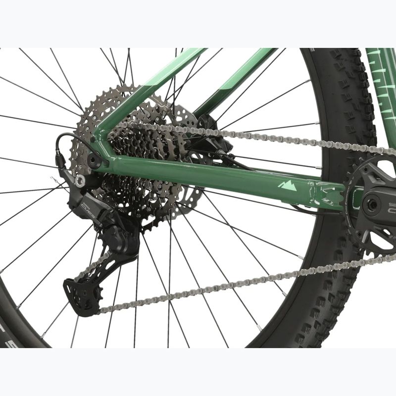 Mountain bike KROSS Level 5.0 green/shine 10