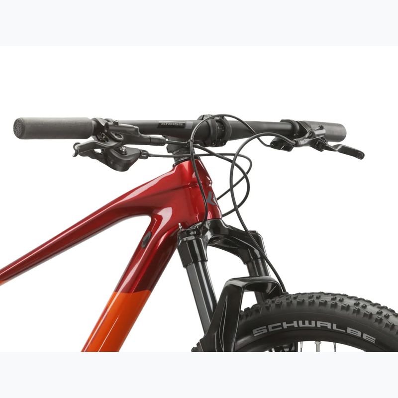 Mountain bike KROSS Level 10.0 maroon/red/shine 6