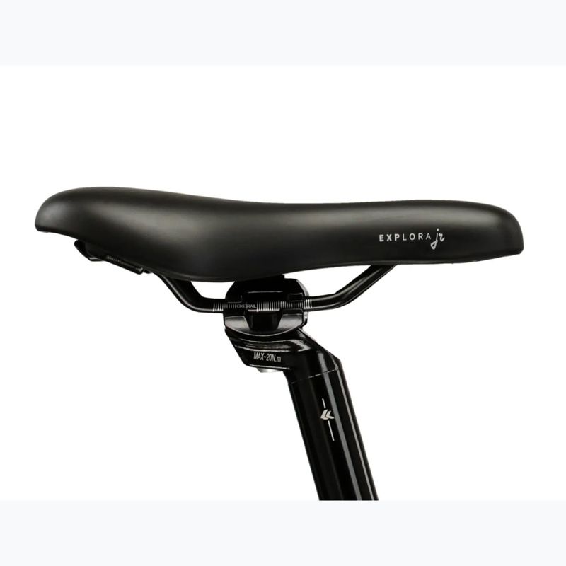 Children's bike KROSS Lea Mini 3.0 Eq W pink/pink/shine 12