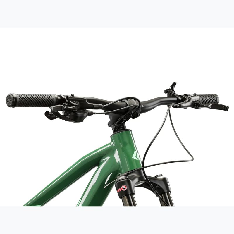Mountain bike KROSS Level 5.0 green/green/shine 4