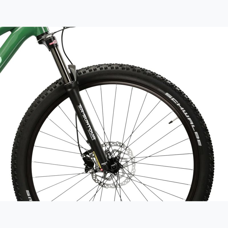 Mountain bike KROSS Level 5.0 green/green/shine 6