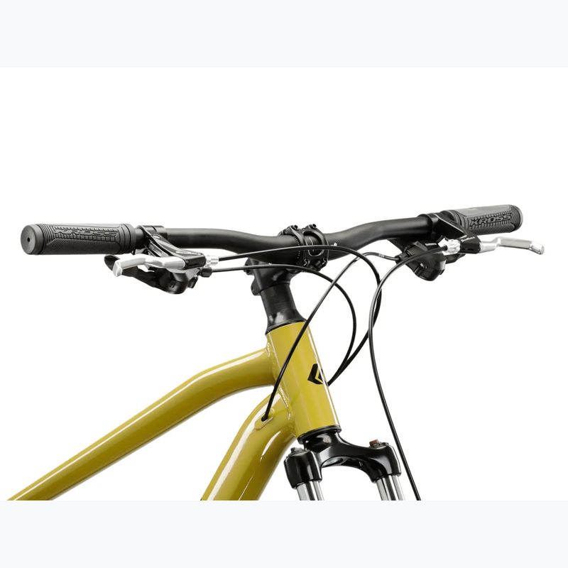 Mountain bike KROSS Hexagon 3.0 29" brown/black/shine 4