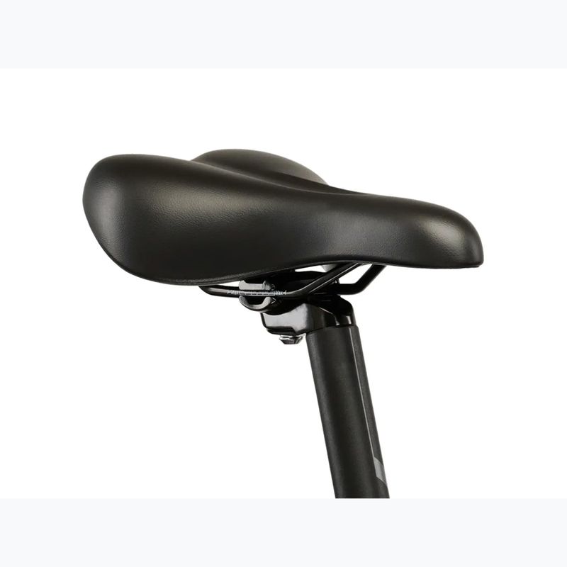 Women's electric bike KROSS Lea Boost 1.0 522Wh purple/pink/shine 14