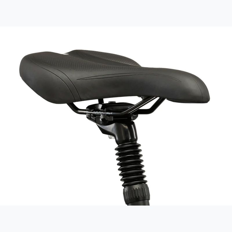 Trekking bike KROSS Explorer 2.0 black/silver/shine 11