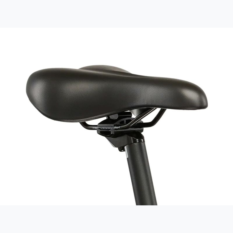 Women's mountain bike KROSS Lea 1.0 pink/grey/mat 9