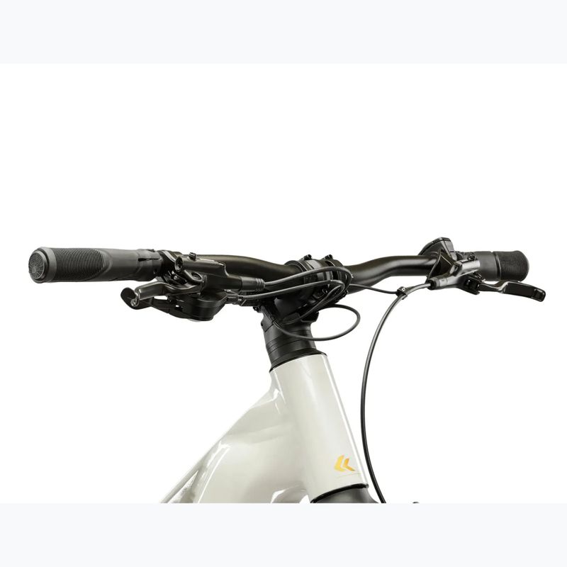 Women's electric bike KROSS Influx Hyb 1.0 720Wh grey/gold/shine 4