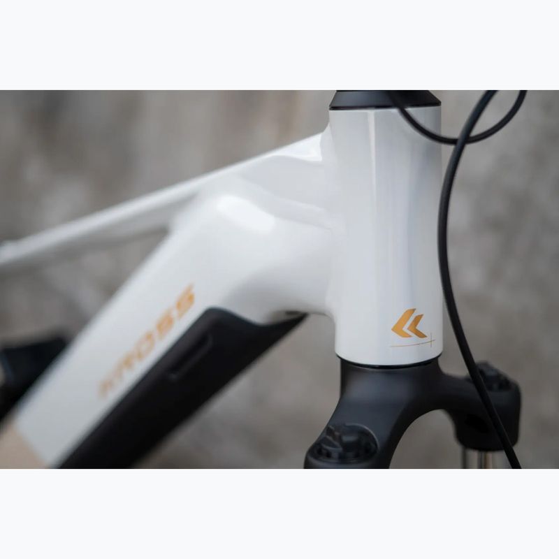 Women's electric bike KROSS Influx Hyb 1.0 720Wh grey/gold/shine 16