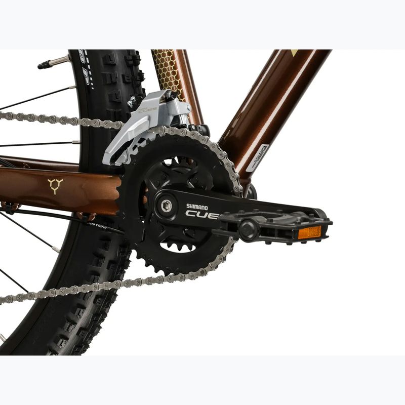 Mountain bike KROSS Hexagon 5.0 29" brown/gold/shine 9