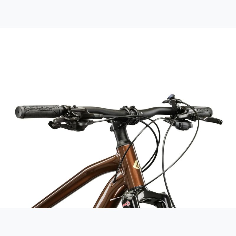 Mountain bike KROSS Hexagon 5.0 27.5" brown/gold/shine 4
