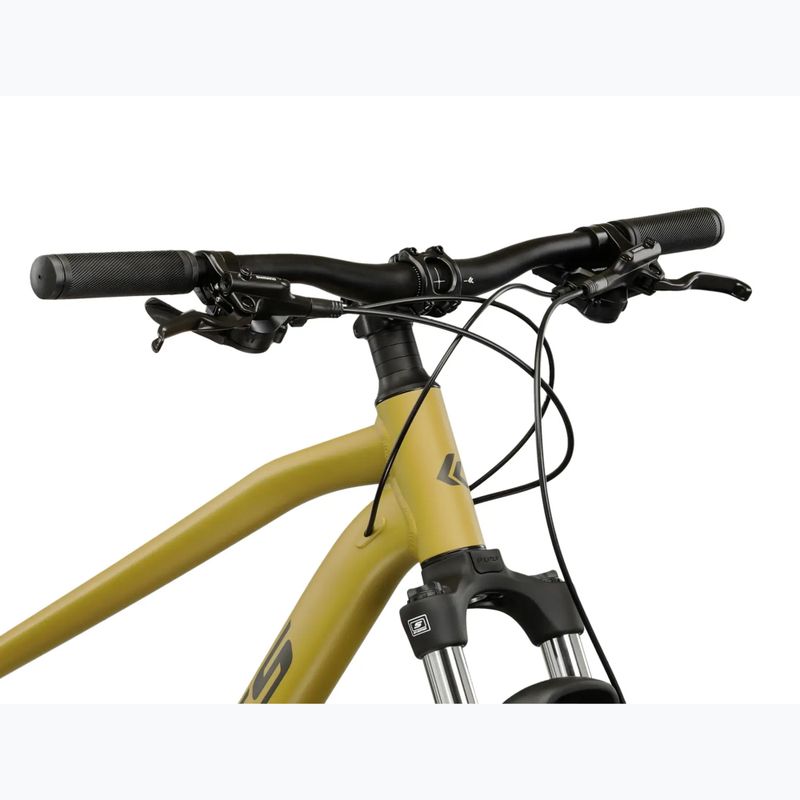 Mountain bike KROSS Hexagon 4.0 29" brown/dark grey/mat 4