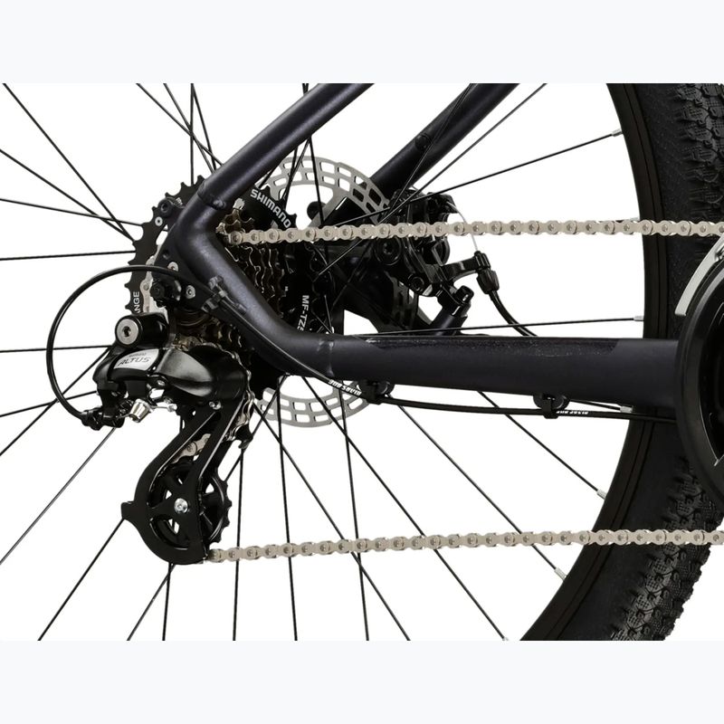 Mountain bike KROSS Hexagon 2.0 29" green/silver/shine 9