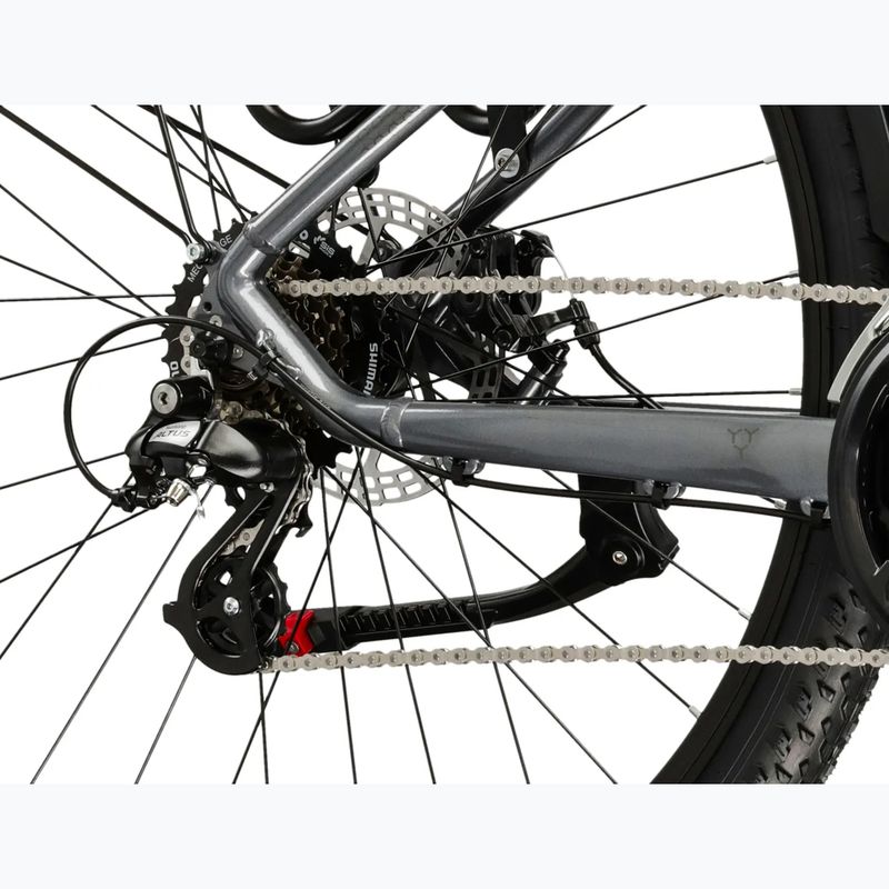 Mountain bike KROSS Hexagon 2.0 EQ 29" grey/dark grey/shine 8