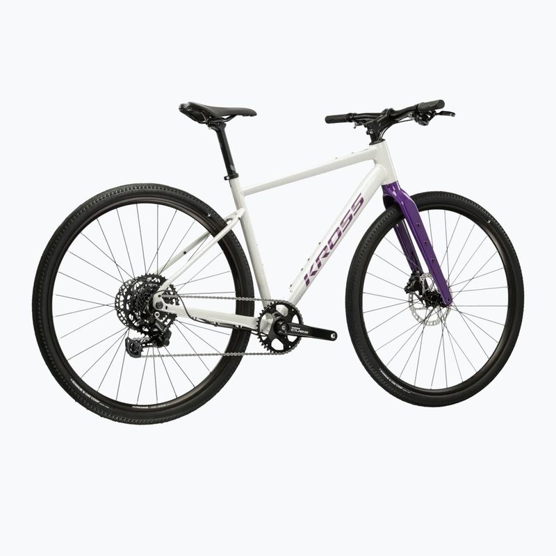 Gravel bike KROSS Esker 1.0 FL grey/purple/shine 3