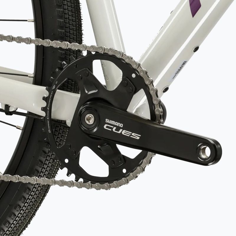 Gravel bike KROSS Esker 1.0 FL grey/purple/shine 9