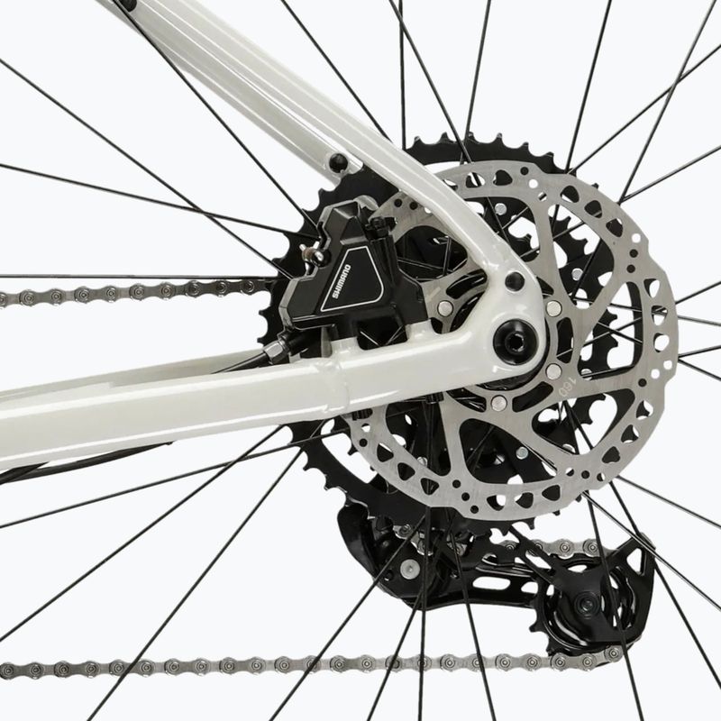Gravel bike KROSS Esker 1.0 FL grey/purple/shine 10