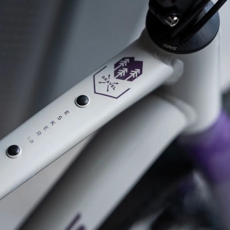 Gravel bike KROSS Esker 1.0 FL grey/purple/shine 15